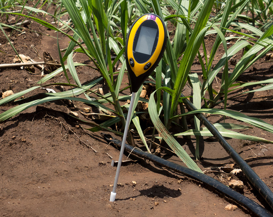 Soil Moisture Sensor System Rebate from SoCalWaterSmart