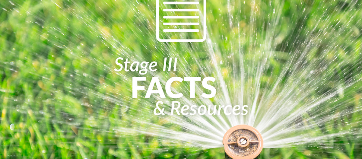 Stage 2 Facts & Resources