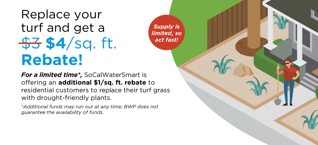 Turf ReplacementRebate